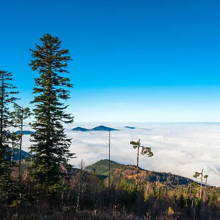 Talblick Schwarzwald